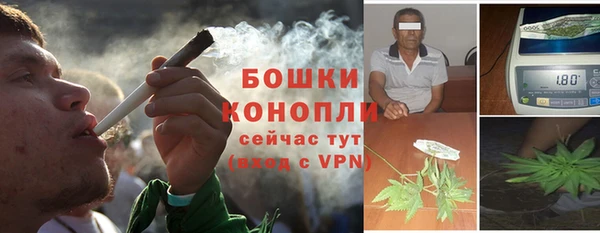 сатива Балахна