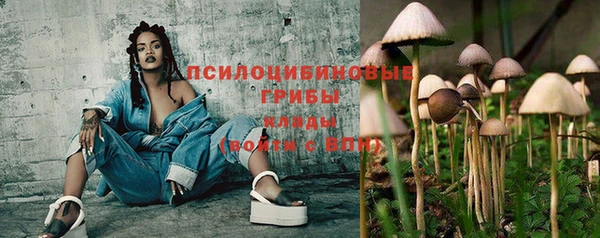сатива Балахна