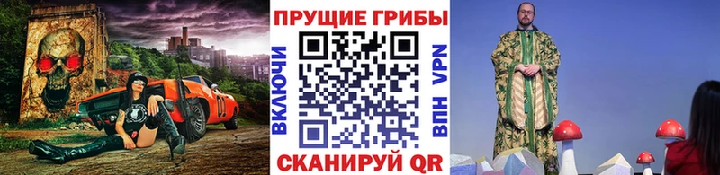 Галлюциногенные грибы мухоморы  как найти наркотики  Чудово 
